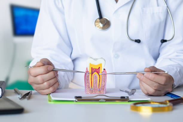 Best Emergency Tooth Extraction in White Castle, LA